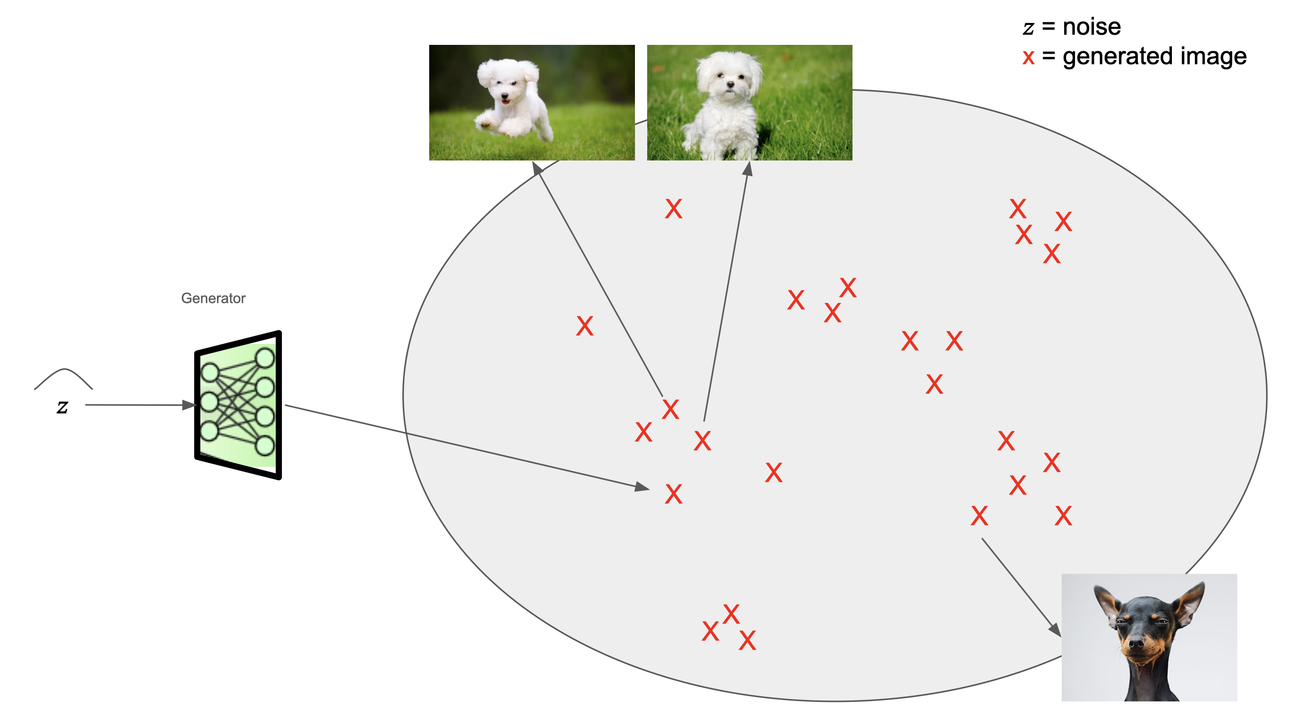 latent_dogs